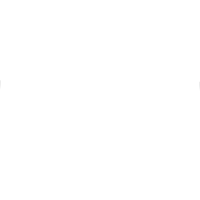 Flexible-white logo